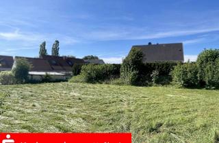 Grundstück zu kaufen in 93326 Abensberg, großzügiges Baugrundstück ohne Bauzwang in Arnhofen bei Abensberg