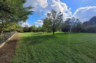 Grundstück zu kaufen in 95671 Bärnau, Traumhaftes Baugrundstück in schöner Wohnlage in Thanhausen!