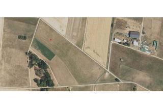 Grundstück zu kaufen in 35305 Grünberg, Große Landwirtschaftsfläche bei Harbach