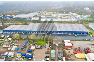 Büro zu mieten in 64409 Messel, KEINE PROVISION ✓ SCHNELL VERFÜGBAR ✓ 24/7 ✓ Lager-/Logistik (10.750 m²) & Büro (400 m²)
