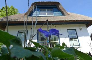 Haus kaufen in 17459 Zempin, REETHAUS IN EINER SACKGASSE! KAMIN & SAUNA & FUSSBODENHEIZUNG!