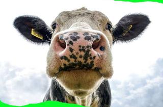 Haus mieten in 45721 Haltern am See, "Flexibel zum Eigenheim: Mietkaufoption für Ihr Traum-Einfamilienhaus"