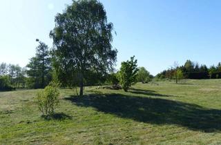 Grundstück zu kaufen in 17321 Löcknitz, Großzügiges Baugrundstück in Löcknitz