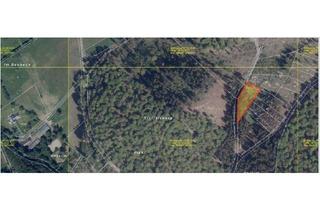 Grundstück zu kaufen in 35236 Breidenbach, Schönes Waldgebiet