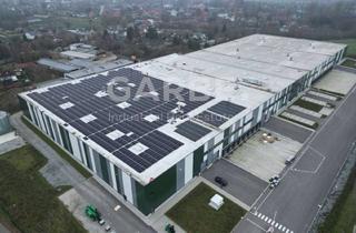 Gewerbeimmobilie mieten in 23738 Lensahn, Direkt vom Eigentümer, provisionsfrei: 10.218 m² Neubau-Logistikzentrum