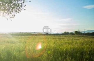 Grundstück zu kaufen in 97877 Wertheim, GRUNDSTÜCK FÜR BAUHERREN MIT ENTWICKLUNGSPOTENTIAL