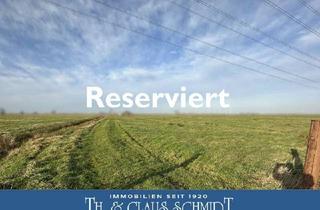 Gewerbeimmobilie kaufen in 26931 Elsfleth, rd. 17,5 ha arrondiertes Grünland mit älterem Maschinenschuppen nahe Elsfleth/Neuenfelde