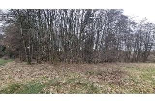 Gewerbeimmobilie kaufen in 94575 Windorf, Zwei Waldgrundstücke Rathsmannsdorf - Gemeinde Windorf/Landkreis Passauin Niederbayern