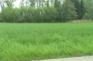 Grundstück zu kaufen in 84095 Furth, das etwas größere Grundstück