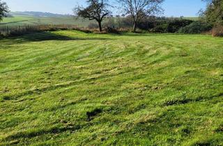 Grundstück zu kaufen in 66424 Homburg, Attraktives Baugrundstück ca. 12 km zur Uniklinik Homburg