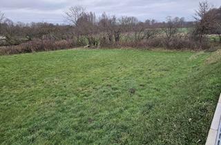 Grundstück zu kaufen in Klever Straße 83, 47559 Kranenburg, Baugrundstück mit Blick auf die Natur