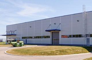 Gewerbeimmobilie mieten in 71116 Gärtringen, Hallenflächen direkt an der A81 - sofort verfügbar