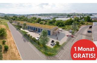 Lager mieten in Siemensstraße, 55543 Bad Kreuznach, 1 Monat gratis Kaltmiete bei 12 Monaten - Neue moderne Garagen und Lagerflächen in Bad Kreuznach