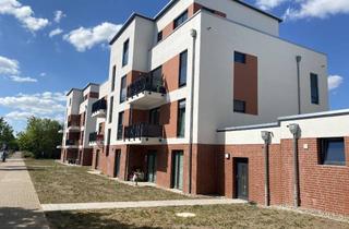 Wohnung mieten in Ellerried, 19061 Schwerin, Ab 01.03.25 frei -schöne 2-Zimmerwohnung mit Terrasse