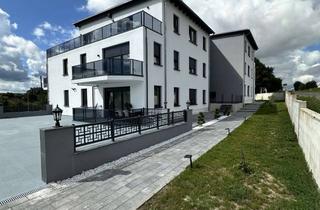 Wohnung mieten in Kerzenheimer Straße, 67280 Ebertsheim, Erstbezug/Neuwertige Wohnung mit zwei Zimmern und Balkon in Ebertsheim, Behindertengerecht!