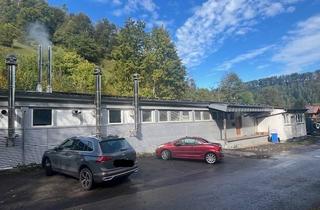 Büro zu mieten in Weilerstr. 90, 72172 Sulz, - Reserviert- Vielseitig nutzbares Gewerbemietobjekt in Sulz am Neckar!