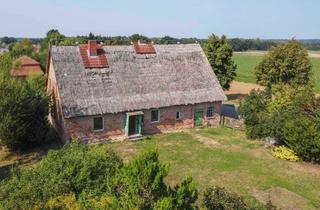 Haus kaufen in Am Hof, 17192 Peenehagen, Jetzt Anpacken! Reetdachhaus mit Gestaltungspotenzial auf großem gepflegtem Grundstück in Sorgenlos