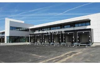 Gewerbeimmobilie mieten in 48268 Greven, Greven, ca. 6.600 m² BTS-Neubauhallenfläche direkt am Flughafen (FMO) zu vermieten