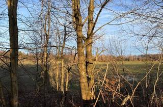 Grundstück zu kaufen in Am Goldbachtal, 09618 Brand-Erbisdorf, RESERVIERT-Teilerschlossenes Grundstück in Brand-Erbisdorf mit viel Platz für Familie und Hobby