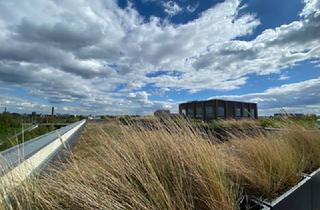 Wohnung mieten in 04179 Leipzig, Hafen 1 - Wohntraum mit großer Dachterrasse | Blick auf den Kanal | 2 Bäder | Aufzug | Stellplatz