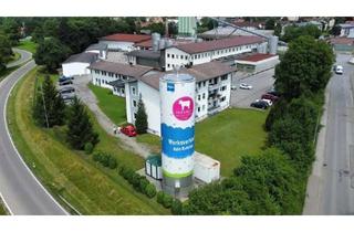 Gewerbeimmobilie mieten in Theodor-Aufsberg-Straße, 87527 Sonthofen, Gewerbefläche direkt an der B19 Sonthofen