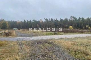 Gewerbeimmobilie mieten in 29393 Groß Oesingen, Bis zu 40.000 m² Freifläche mit Gleisanschluss zu vermieten