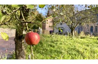 Wohnung mieten in Maschweg, 49152 Bad Essen, Wohnen im Quittenhof!