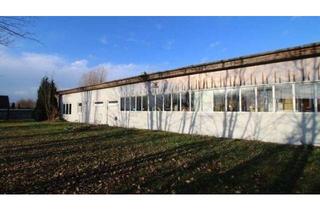Gewerbeimmobilie mieten in 41812 Erkelenz, Lagerflächen zwischen 110 m² und 1.800 m² in sehr guter Verkehrslage