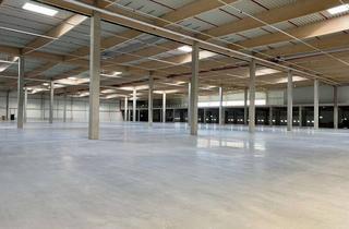 Gewerbeimmobilie mieten in 23738 Lensahn, Lensahn, ca. 19.700 m² Neubau-Logistikflächen ab sofort zu vermieten