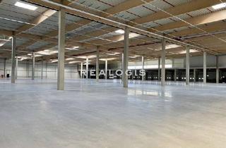 Gewerbeimmobilie mieten in 23738 Lensahn, Lensahn, ca. 10.218 m² Neubau-Logistikflächen ab sofort zu vermieten
