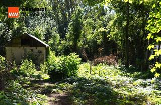 Grundstück zu kaufen in Schulstr. 17, 15328 Zechin, Großes Baugrundstück / Teilbar mit zweiter Zufahrt in Zechin