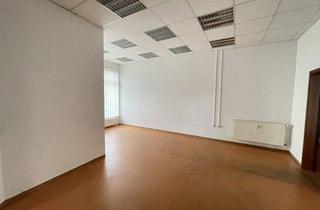 Gewerbeimmobilie mieten in Plauensche Str. 11, 07952 Pausa, 100m² Gewerbeeinheit in Pausa für 300€ Kaltmiete