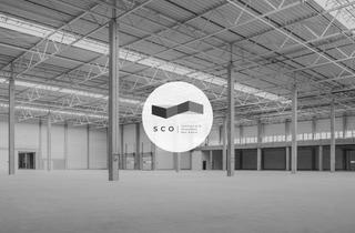 Büro zu mieten in 64380 Roßdorf, 4.500 qm Lager/Produktionsfläche + Büro