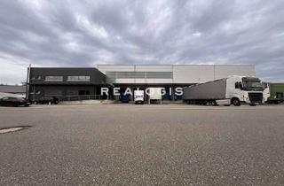 Gewerbeimmobilie kaufen in 79787 Lauchringen, Vollvermietete Logistikliegenschaft zu verkaufen!