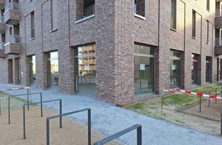 Büro zu mieten in 17489 Nördliche Mühlenvorstadt, Erstbezug - Büro / Gewerbe an neuer Ryck-Promenade