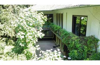 Haus kaufen in 77790 Steinach, Zweifamilienhaus mit Traumgrundstück