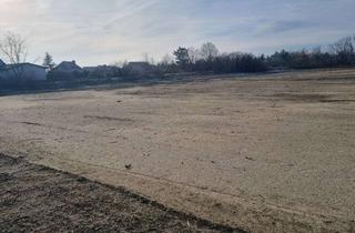 Grundstück zu kaufen in 39638 Solpke, Freies Baugrundstück in Gardelegen OT Solpke!