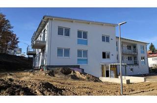 Wohnung kaufen in 84416 Taufkirchen, Moderne Neubau 2-Zimmer-Eigentumswohnung in Taufkirchen (Vils)!