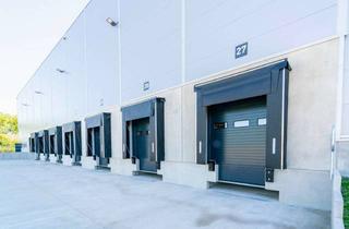 Gewerbeimmobilie mieten in 48268 Greven, Neubau Logistikhalle am Flughafen Münster/Osnabrück | DGNB-PLATIN | RUHR REAL