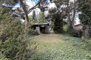 Grundstück zu kaufen in Große Zeuthener Allee 53, 15738 Zeuthen, Baugrundstück in TOP-Lage Zeuthen mit See Nähe