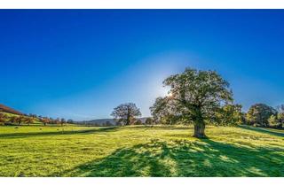 Grundstück zu kaufen in 63667 Nidda, ☀️ Baugrundstück für ein bis Zweifamilienhäuser in Nidda / Borsdorf
