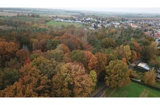 Gewerbeimmobilie kaufen in 06712 Kayna, Attraktiver Laubmischwald in Sachsen-Anhalt Raum Zeitz 5,5 ha