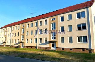 Wohnung mieten in Straße Der Jugend 6c, 19374 Herzberg, Geräumige 4-Zimmer-Wohnung im grünen Herzberg