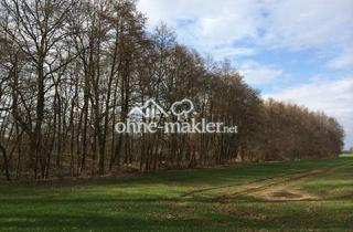 Immobilie kaufen in Ziegeleiweg, 04838 Jesewitz, Waldgrundstücke und Gewässer bei Leipzig - Wald - Forst - Angelgewässer - Privatwald - Waldfläche