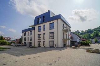 Mehrfamilienhaus kaufen in Ringstraße 101, 76356 Weingarten, NEUBAU: energieeffiziente Renditeimmobilie mit Dachgarten!