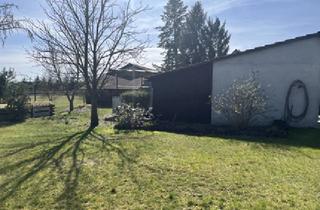 Einfamilienhaus kaufen in Kleinkrausnik 48, 03249 Sonnewalde, Einfamilienhaus in ruhiger Lage