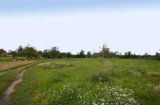 Grundstück zu kaufen in 06458 Hausneindorf, Bauherr gesucht! Ca. 18.000m² großes Baugrundstück in Hausneindorf...