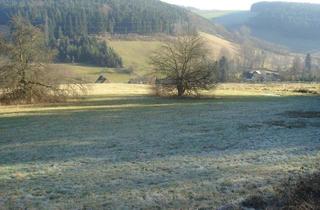 Grundstück zu kaufen in 64756 Mossautal, 10.600m² Bauerwartungsland mit herrlichem Blick über das Mossautal bei Erbach/Odenwald