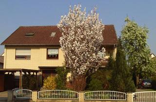Mehrfamilienhaus kaufen in 37589 Kalefeld, Mehrfamilienhaus 3 Wohneinheiten an Anleger oder Privatnutzung