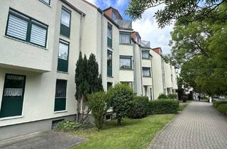 Wohnung mieten in Georgstraße 30, 06449 Aschersleben, ++Frisch sanierte 2-Raumwohnung mit Balkon++